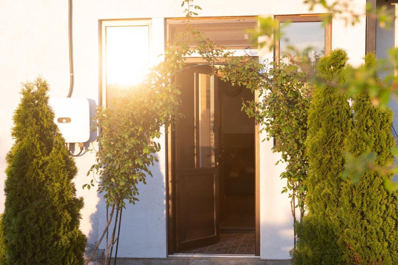 Hotel Casa Dumitrescu Năvodari Exteriér fotografie